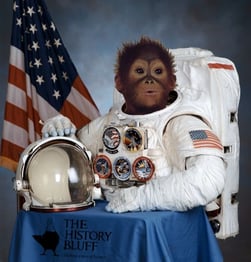 Monkey in Space Suit