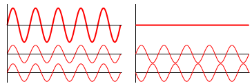 oscillatory phase coherence
